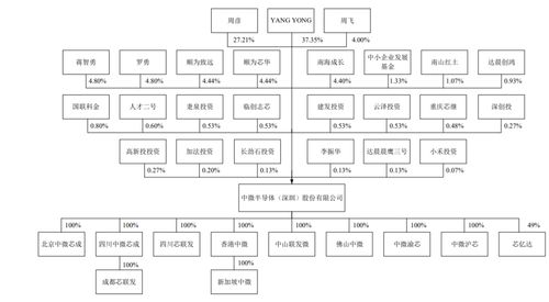 中微半導(dǎo) 背靠明星機(jī)構(gòu)，集成電路設(shè)計(jì)領(lǐng)域的科創(chuàng)板“芯”力量